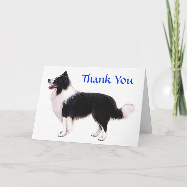 Carte de voeux pour le Collie frontalier Merci - V (Devant)
