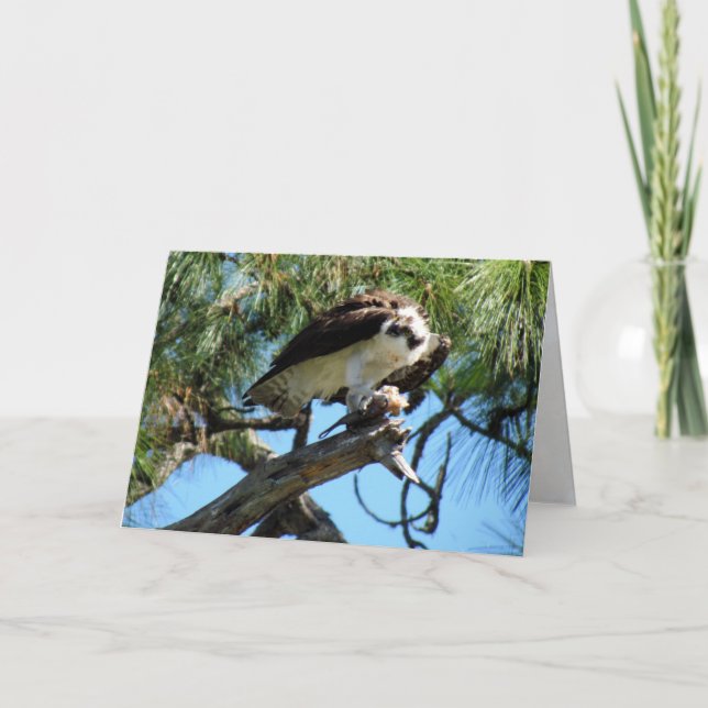 Carte de voeux pour le déjeuner d'Osprey (Devant)