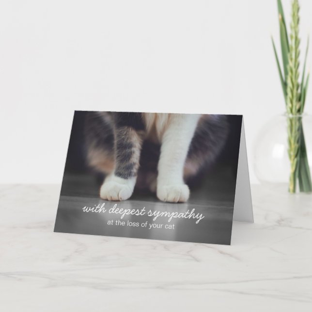 Carte de voeux pour le deuil Sympathy Cat (Devant)