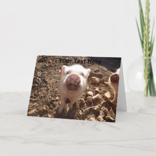 Carte de voeux pour le mini-porc salé personnalisé