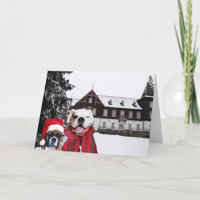 Carte de voeux pour les chiens de boîte de Noël (Devant)