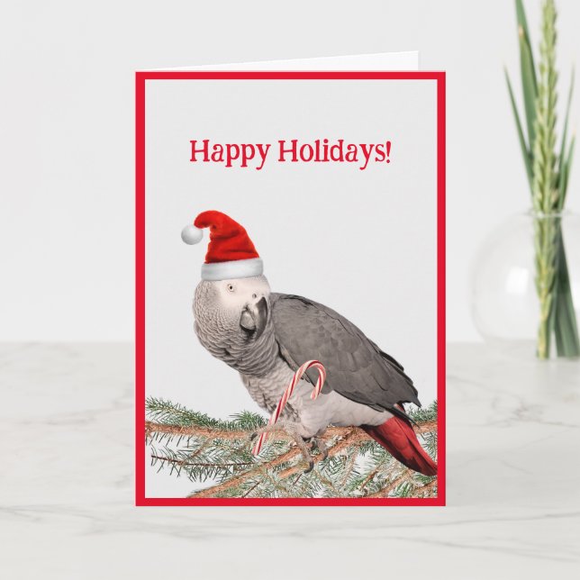 Carte de voeux pour les fêtes de perroquets gris d (Devant)
