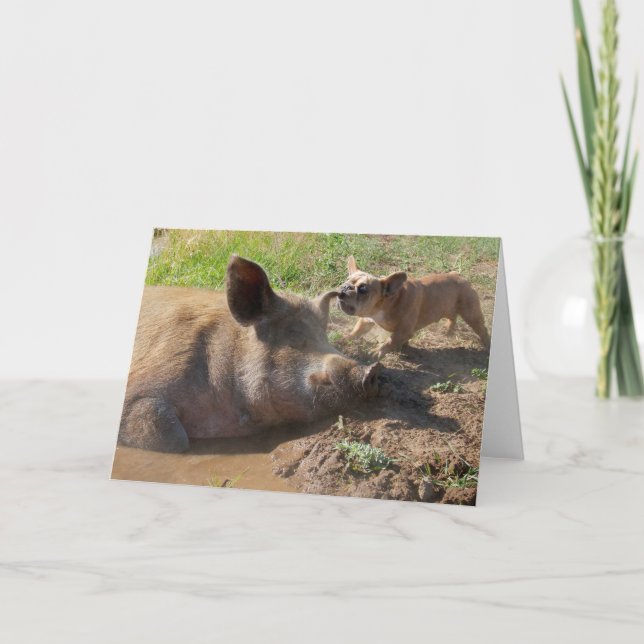 Carte de voeux pour les oreilles de cochons (Devant)