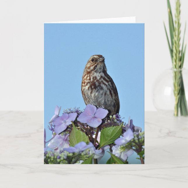 Carte de voeux pour petit oiseau-chanteur (Devant)