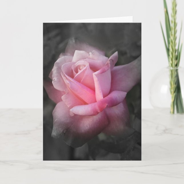 Carte de voeux pour Rose mystique (Devant)