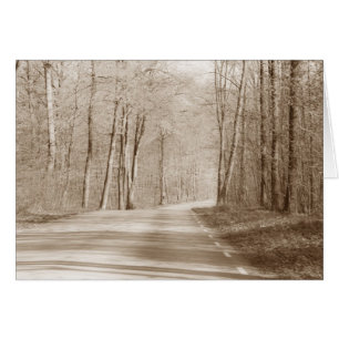 Carte de voeux pour route forestière