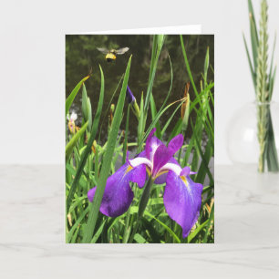 carte de voeux printemps #1