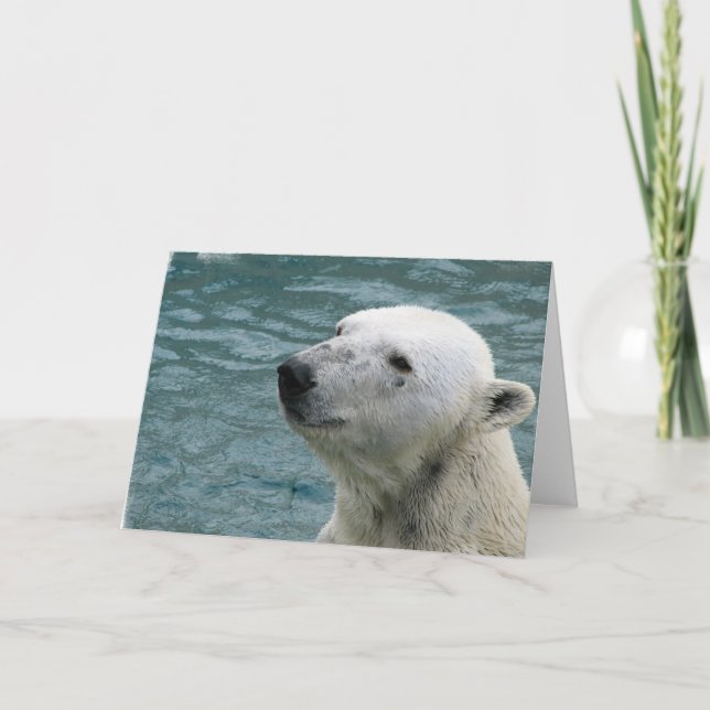 Carte de voeux profil Ours polaire (Devant)