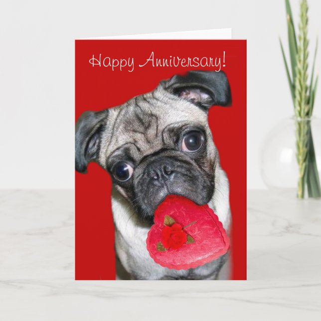 Carte de vœux Pug pour anniversaire de mariage (Devant)