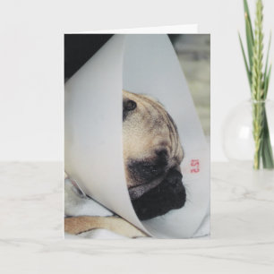 Carte de voeux Puggy Get Well