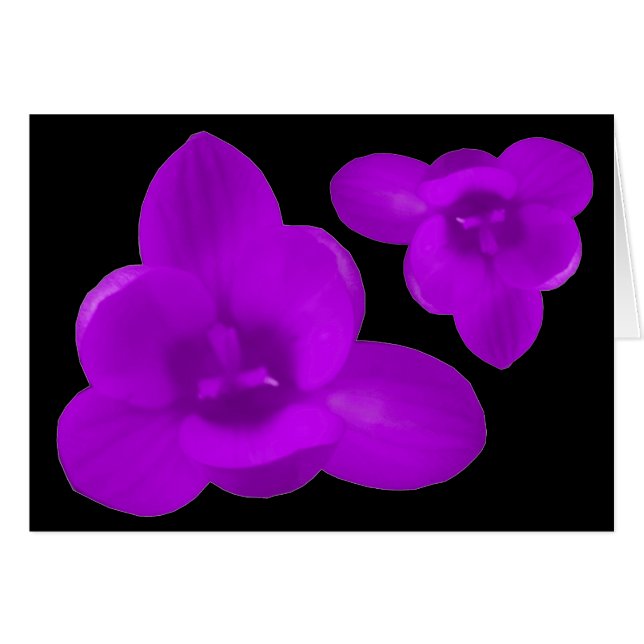 Carte de voeux Purple Crocus (Devant horizontal)