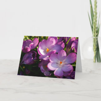 Carte de voeux Purple Crocus