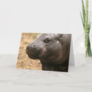 Carte de voeux Pygmy Hippo