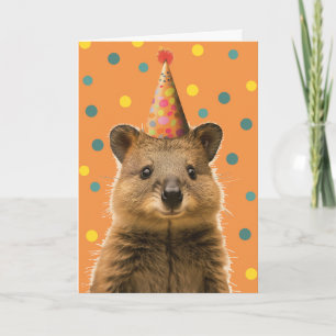 Carte de voeux Quokka Anniversaire
