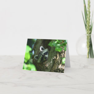 Carte de voeux Raccoon Friendship