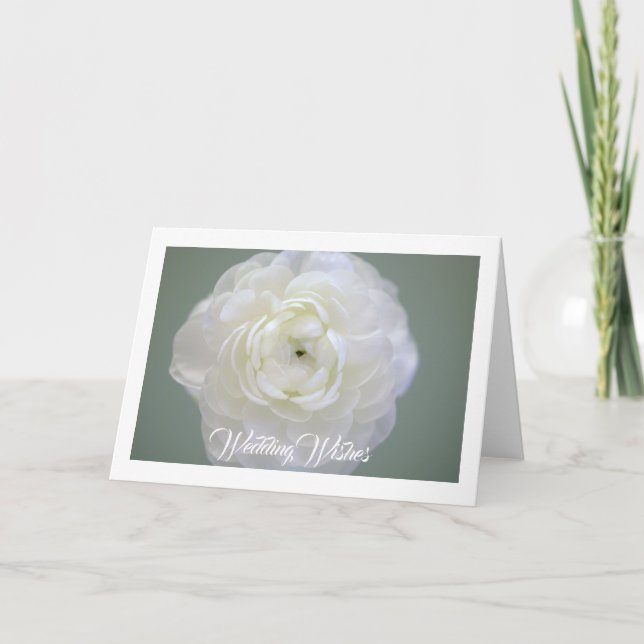 Carte de vœux Ranunculus blanc (Devant)