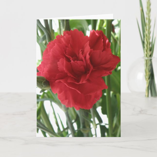 Carte de voeux Red Carnation (Devant)