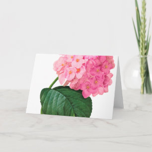 Carte de voeux Redoute Pink Hydrangea