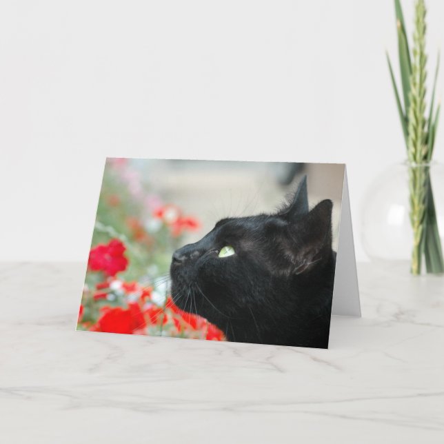 Carte de voeux - Regarder (Devant)