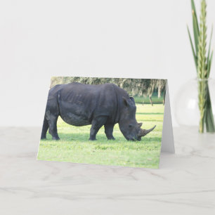 Carte de voeux Rhino Grazing