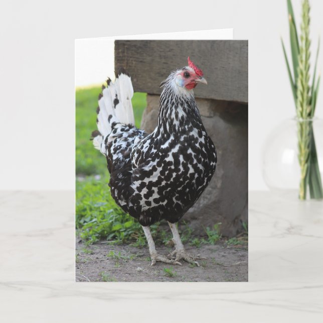 Carte de voeux Rooster (Devant)