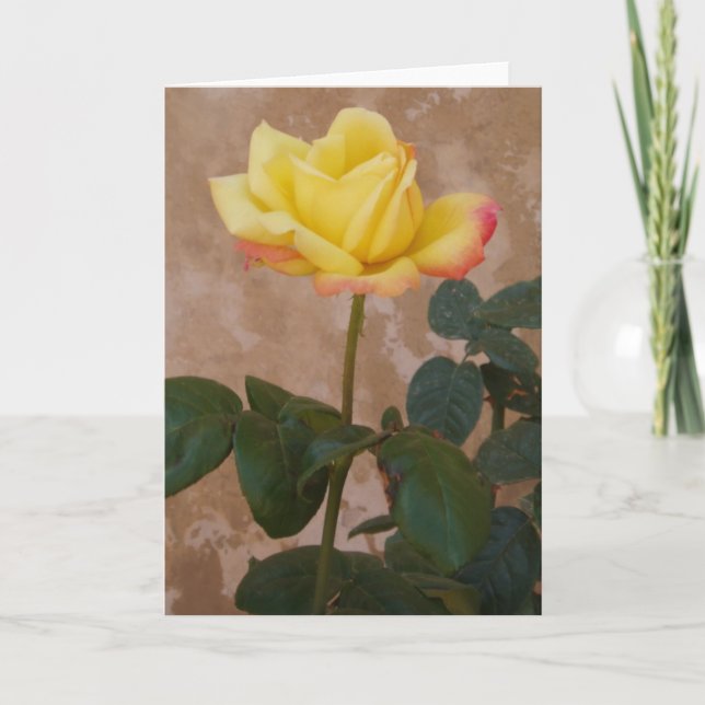 Carte de voeux rose (Devant)