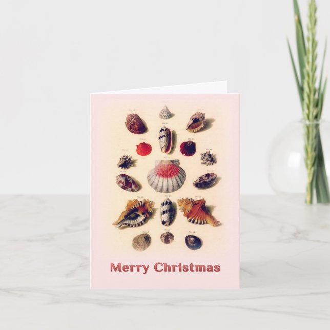 Carte de vœux rose Coquillages Joyeux Noël (Devant)
