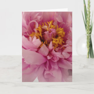 Carte de voeux rose de blanc de fleur de pivoine