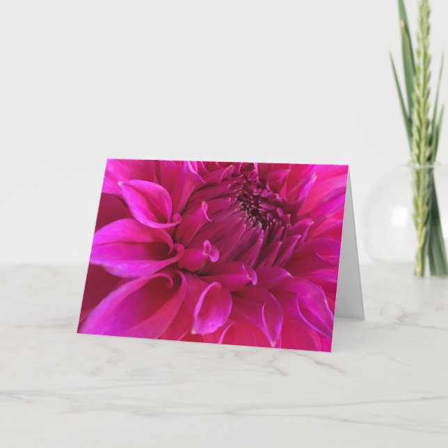 Carte de voeux rose de dahlia (Devant)