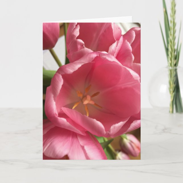 Carte de voeux rose de tulipes (Devant)