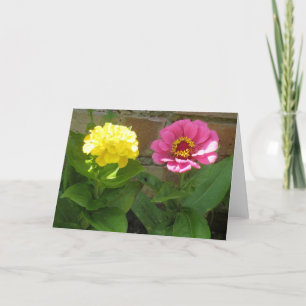 Carte de voeux rose et jaune Zinnias