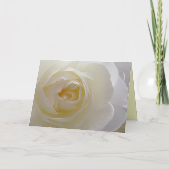 Carte de voeux Rose Fleurs blanches Vierge (Devant)