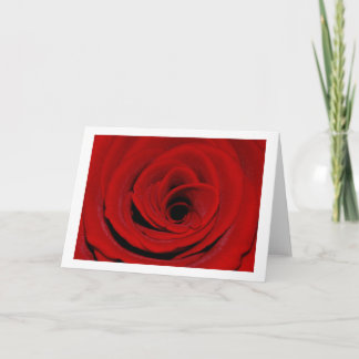 Carte de vœux Rose Rouge