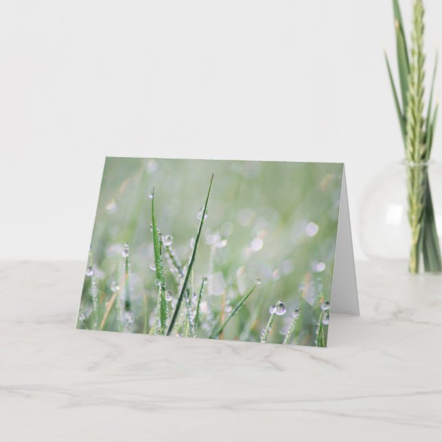 carte de voeux Rosée-couverte de blanc d'herbe (Devant)