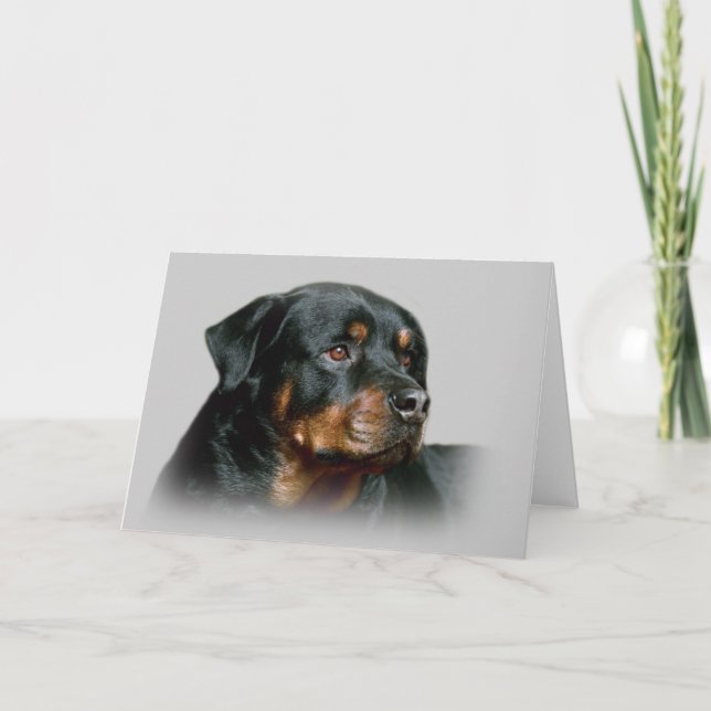 Carte de voeux Rottweiler (Devant)