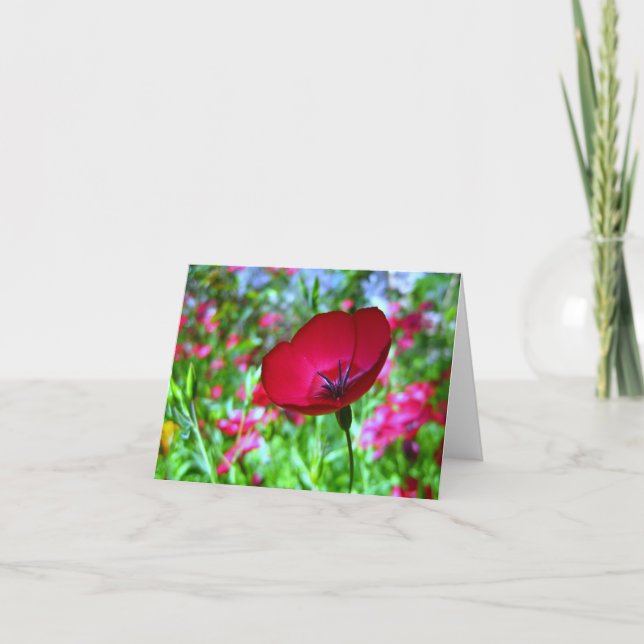 Carte de voeux rouge de fleur sauvage (Devant)