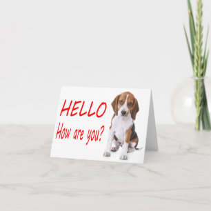 Carte de vœux rouge pour chiot Beagle Bonjour