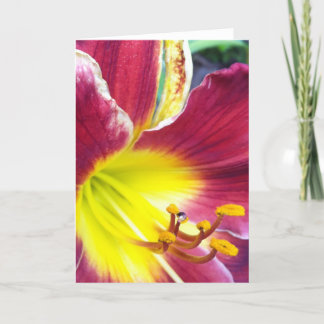 Carte de voeux Ruby Day Lily