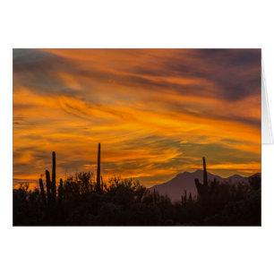 Carte de voeux Saguaro Desert Sunset Photo