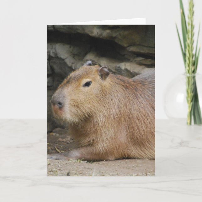 Carte de voeux sauvage de Capybara (Devant)