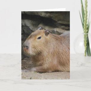Carte de voeux sauvage de Capybara