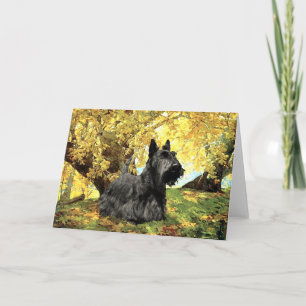 Carte de vœux Scottish Terrier
