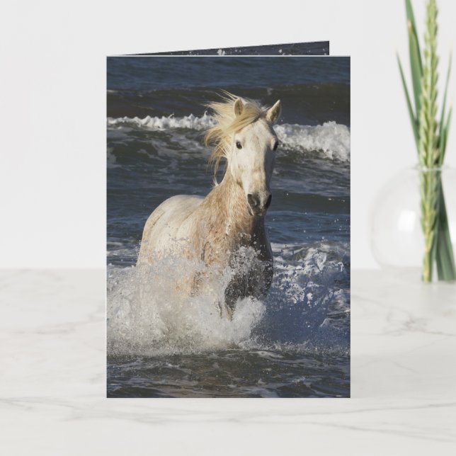 Carte de voeux Sea Horse Horse (Devant)
