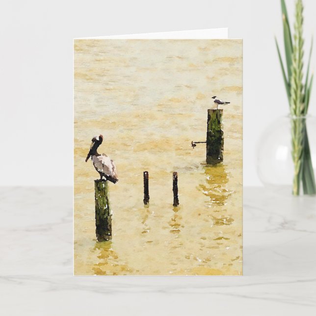 Carte de voeux Seabird Blank (Devant)