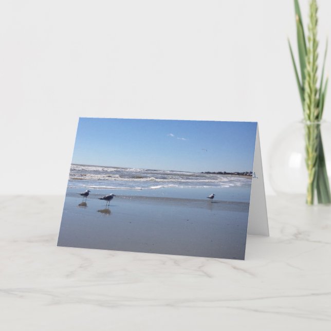 carte de voeux seagull (Devant)