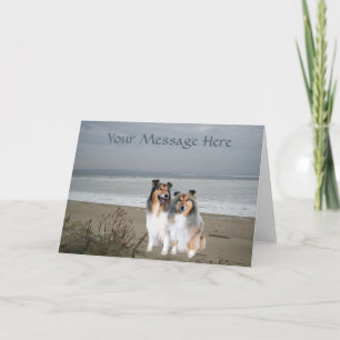 Carte de voeux Sheltie