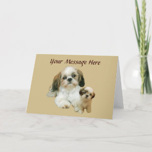 Carte de voeux Shih Tzu Buddies