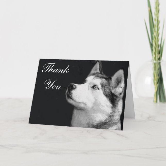 Carte de voeux Sibérie Husky Merci (Devant)