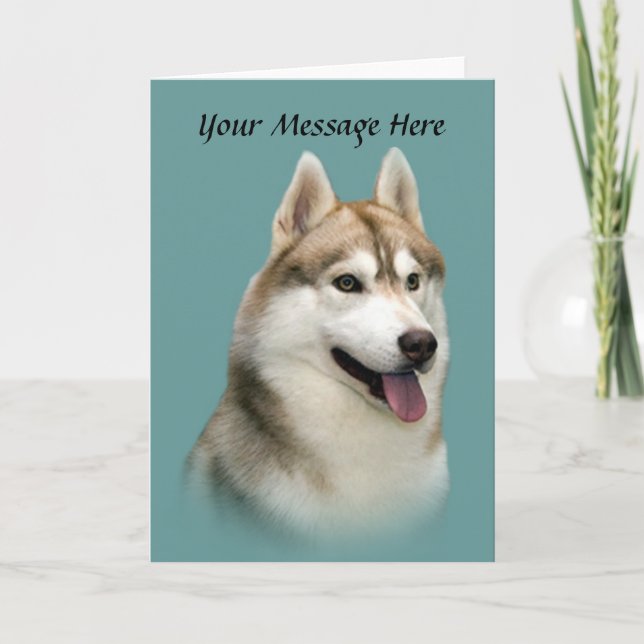 Carte de voeux Sibérienne Husky magnifique (Devant)
