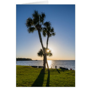 Carte de voeux Silhouette Ciseaux Palm Tree